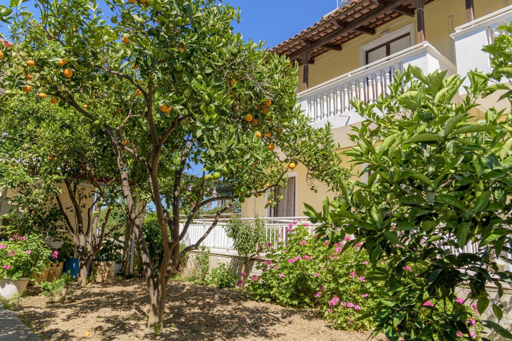 Mariliki Lejlighed Tsilivi (Zakynthos)